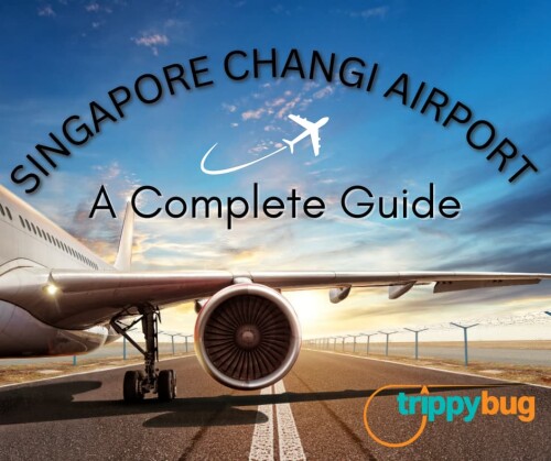 Singapore-Changi-Airport.jpg