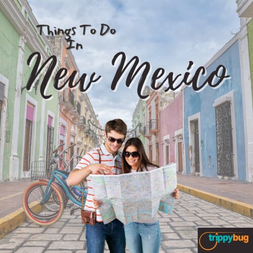 Things To Do In New Mexico