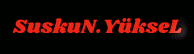 coollogo_com-PLAKA.gif