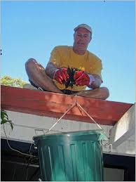 Best-Gutter-Cleaning-In-Gold-Coast.jpg