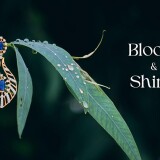 bloom-and-shine-this-monsoon