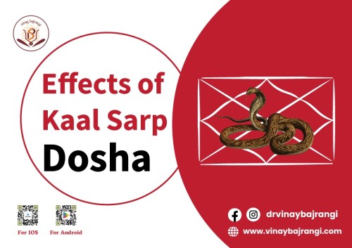 Kaal Sarp Dosha is a belief in Hindu astrology that occurs when all the planets are hemmed between the shadowy planets Rahu and Ketu. Effects of Kaal Sarp Dosha is believed to have various effects on an individual's life, including delays and obstacles in career, health issues, financial difficulties, strained relationships, and a general sense of unease. However, it's important to note that the influence of astrological beliefs varies among individuals, and scientific evidence supporting these effects is lacking. If you are looking Astrology Birth Chart contact us. For more info visit: https://www.vinaybajrangi.com/calculator/kaalsarp-dosh-calculator.php || https://www.vinaybajrangi.com/kundli.php