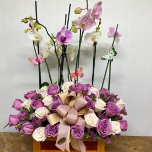 aniversario-119-300x300.jpg