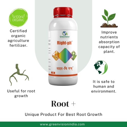 Root-.jpg