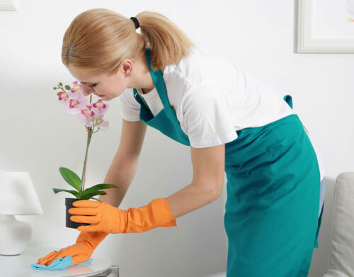 Looking for cleaning services near you? Sydneyecocleaning.com.au is a renowned company that offers professional cleaning services in Sydney, Australia. Visit our site for more details.


https://sydneyecocleaning.com.au/