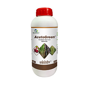 acetogreen.jpg