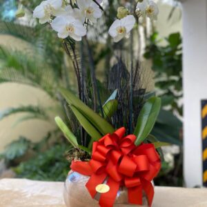 aniversario60-300x300.jpg