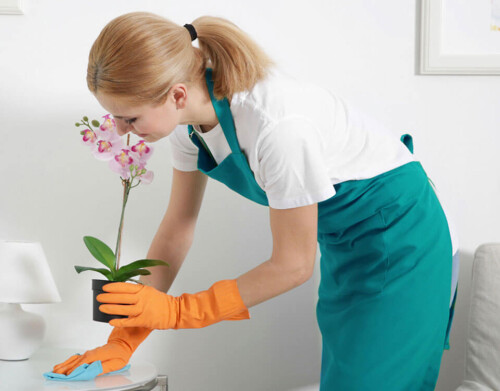 Looking for cleaning services near you? Sydneyecocleaning.com.au is a renowned company that offers professional cleaning services in Sydney, Australia. Visit our site for more details.

https://sydneyecocleaning.com.au/