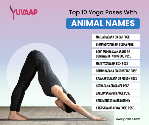 https://www.yuvaap.com/blogs/top-10-yoga-poses-with-animal-names/