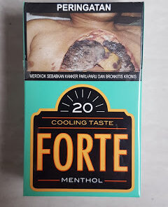 djarum_forte_menthol_clove_cigarettes-240x296.jpg