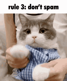 meme-dimden.gif