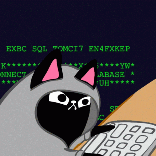 hack-the-planet-hacker-cat.gif