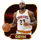 TB8_QBHM.png