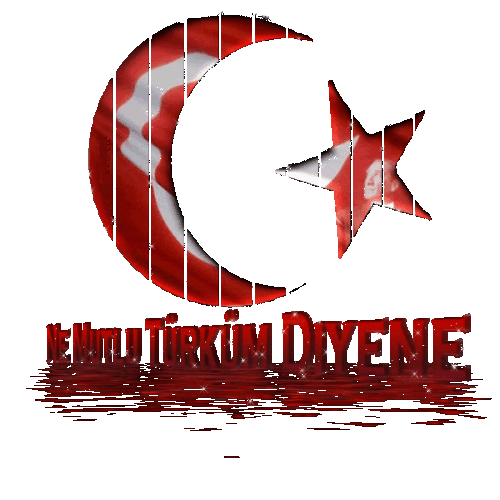 hareketli_turkbayraklari_forumgazel-1arzuu.gif