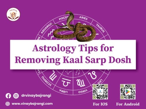 To mitigate the effects of Kaal Sarp Dosh in astrology, follow these tips. Conduct Rahu-Ketu Shanti Puja on auspicious days. Regularly recite the Mahamrityunjaya mantra or perform Rudra Abhishek. Visit temples dedicated to Lord Shiva or Vishnu. Astrology Tips for Removing Kaal Sarp Dosh Donate to charity and offer food to the needy. Seek guidance from experienced astrologers for personalized remedies. Remember, faith, perseverance, and positive actions are key to alleviating the dosh. If you are looking Free Janam Kundali content us. For more info visit: https://www.vinaybajrangi.com/calculator/kaalsarp-dosh-calculator.php | https://www.vinaybajrangi.com/hindi/kundli.php | https://www.vinaybajrangi.com/services/online-report/mangal-dosha-calculator.php