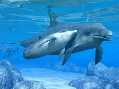 5c5268397a457aee6797490d6213da19.gif