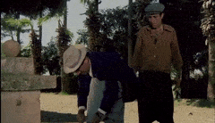 BrokenElectricAmericanshorthair-max-1mb.gif