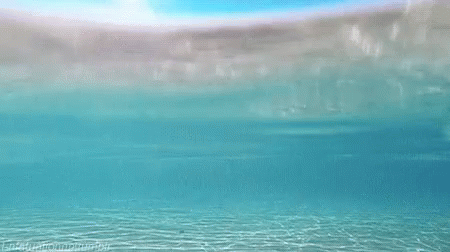 sea.gif