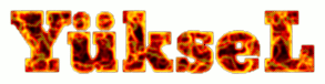 KEDIIII.gif