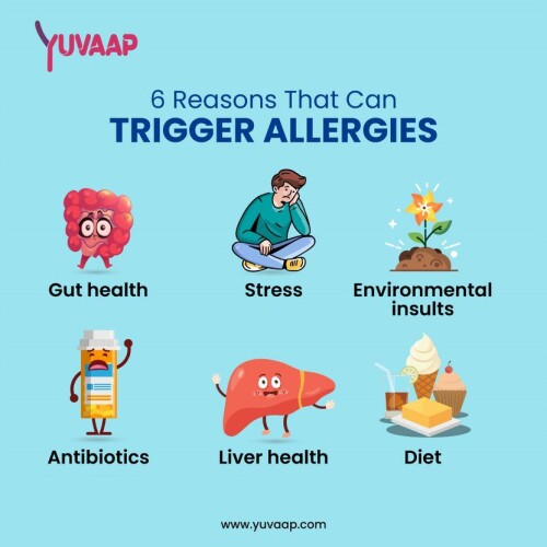 6 Reasons that can trigger allergies
https://www.yuvaap.com/