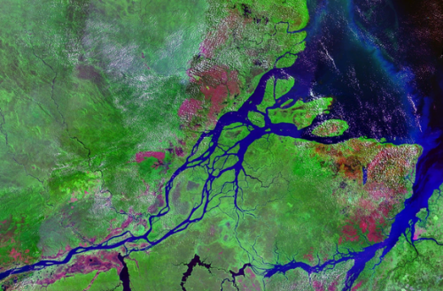 580px-Mouths_of_amazon_geocover_1990.png