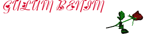 416b9d25.gif