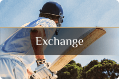 web_sport_20230929_183032.png