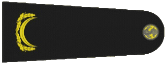 1000069817.gif