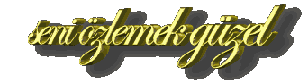 seni.gif