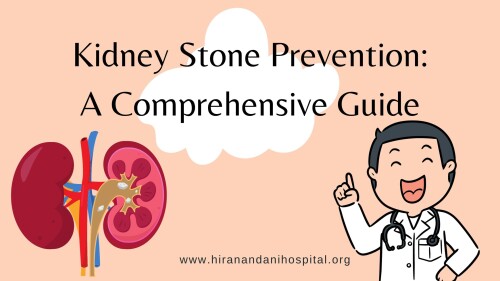 Kidney-Stone-Prevention-A-Comprehensive-Guide.jpg