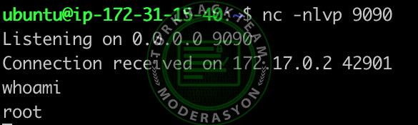 1f221c3605831889c.png 1f221c3605831889c.png