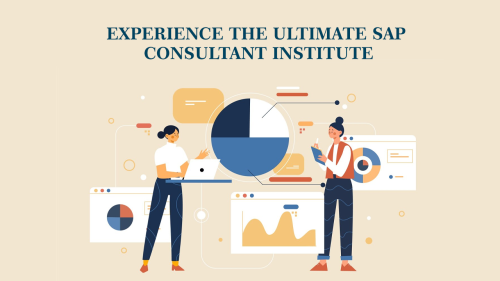 Experience-the-Ultimate-SAP-Consultant-Institute.png