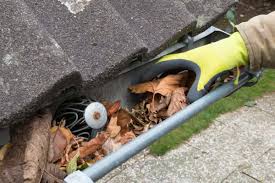 Best-Residential-Gutter-Cleaner-Near-Me.jpg