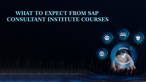 What-to-Expect-from-SAP-Consultant-Institute-Courses.png
