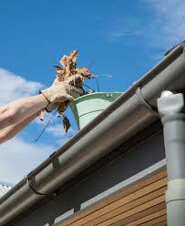 Best-Residential-Gutter-Cleaner-Near-Me.jpg