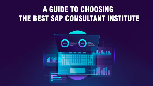 A-guide-to-choosing-the-best-SAP-Consultant-Institute.png