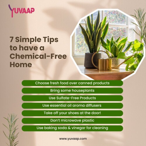 Ten Simple Tips To Have A Non Toxic And Chemical Free Life
https://www.yuvaap.com/blogs/ten-simple-tips-to-have-a-non-toxic-and-chemical-free-life/