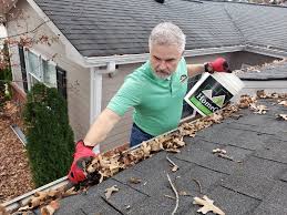 Best-Residential-Gutter-Cleaner-Near-Me.jpg