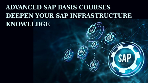Advanced-SAP-Basis-Courses-Deepen-Your-SAP-Infrastructure-Knowledge.png