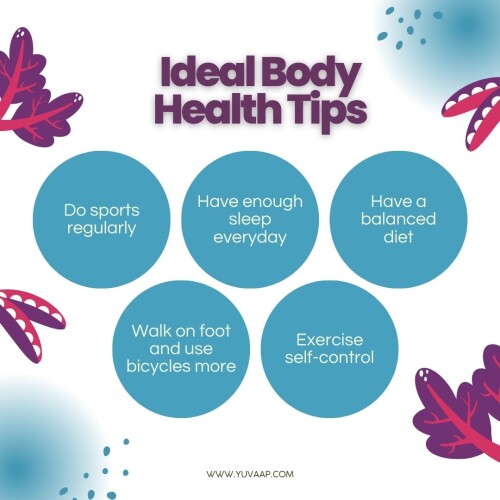 Ideal Body Health Tips
https://www.yuvaap.com/