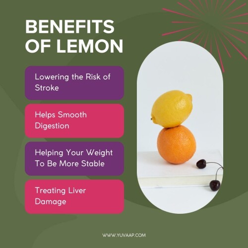 Benefits Of Lemon
https://www.yuvaap.com/