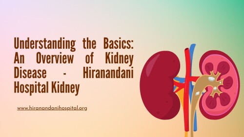 Understanding-the-Basics-An-Overview-of-Kidney-Disease---Hiranandani-Hospital-Kidney.jpg