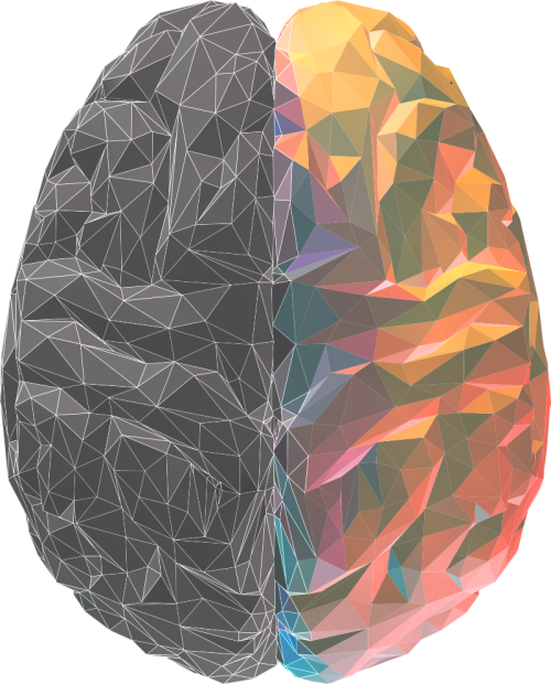 brain-colored-half.png