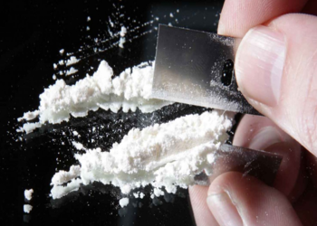 cocaine-1.png