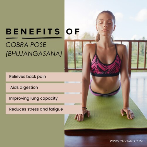 Benefits Of Cobra Pose
https://www.yuvaap.com/