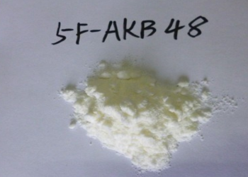 5F-AKB48.png