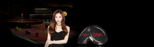 bbin-banner-1.jpg