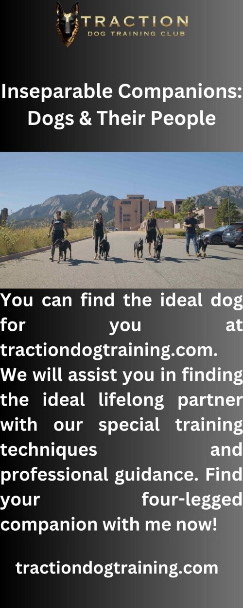 Court-Mediation-Made-Easy-29385d26a325b2cfe.jpg