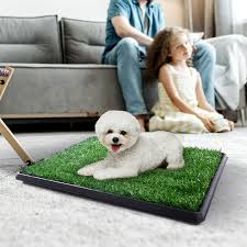 Dog-Pee-Pads-In-Singapore.jpg