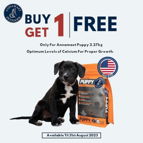 The-Best-Healthiest-Dog-Food-In-Singapore.jpg